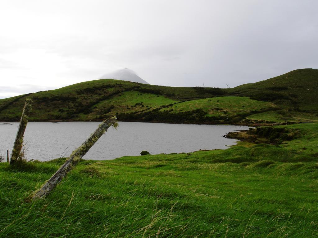 Quinta Da Ribeira Da Urze Séjour à la campagne