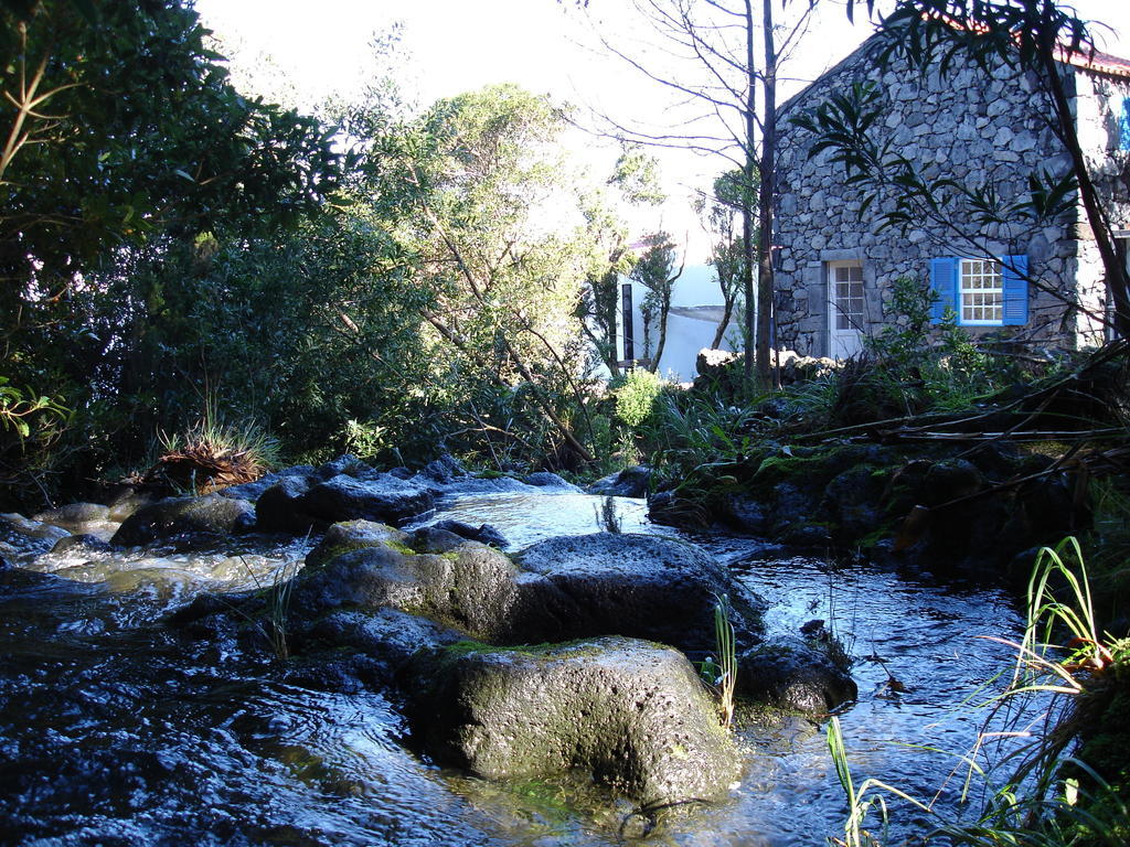 Quinta Da Ribeira Da Urze